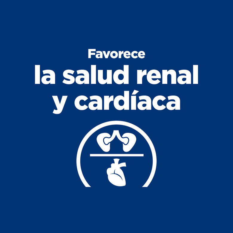 Hill's Prescription Diet Thyroid Care y/d pienso para gatos, , large image number null